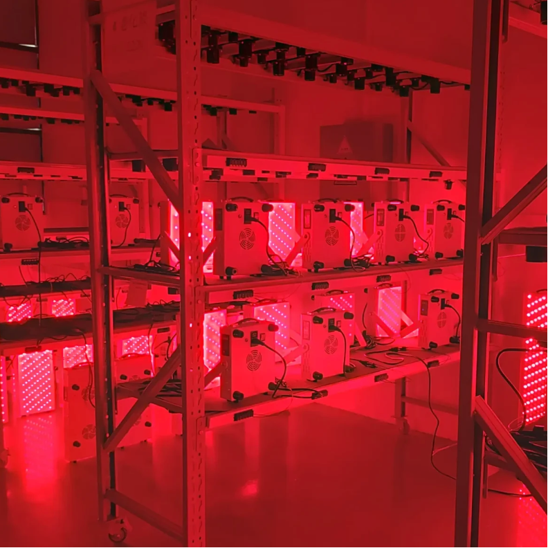 How does red light therapy work for weight loss?