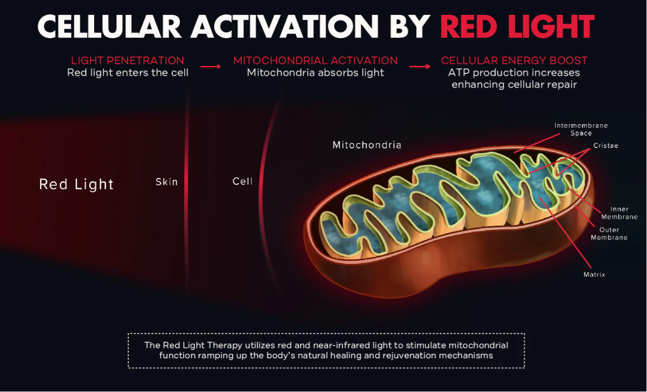 red and blue light therapy